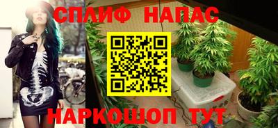 мяу мяу мука Когалым
