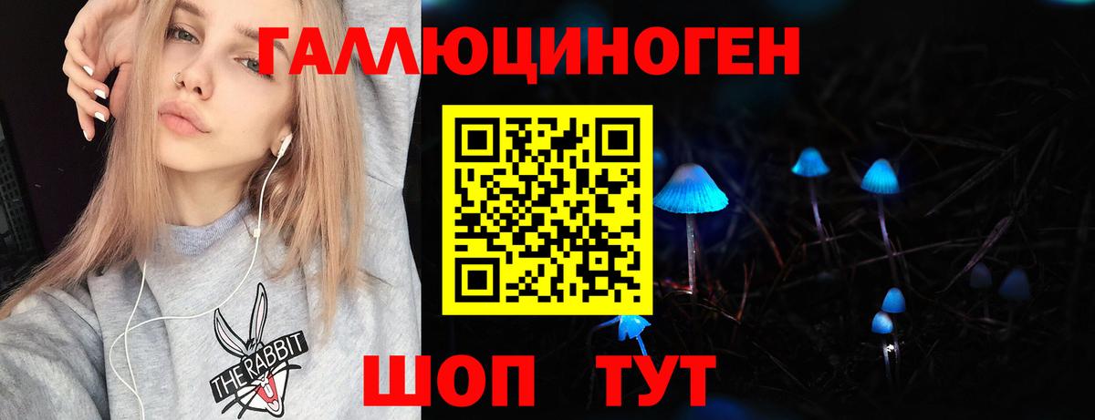Псилоцибиновые грибы GOLDEN TEACHER  Псилоцибиновые грибы мицелий  Вход с VPN  купить наркотик  Нефтекумск 